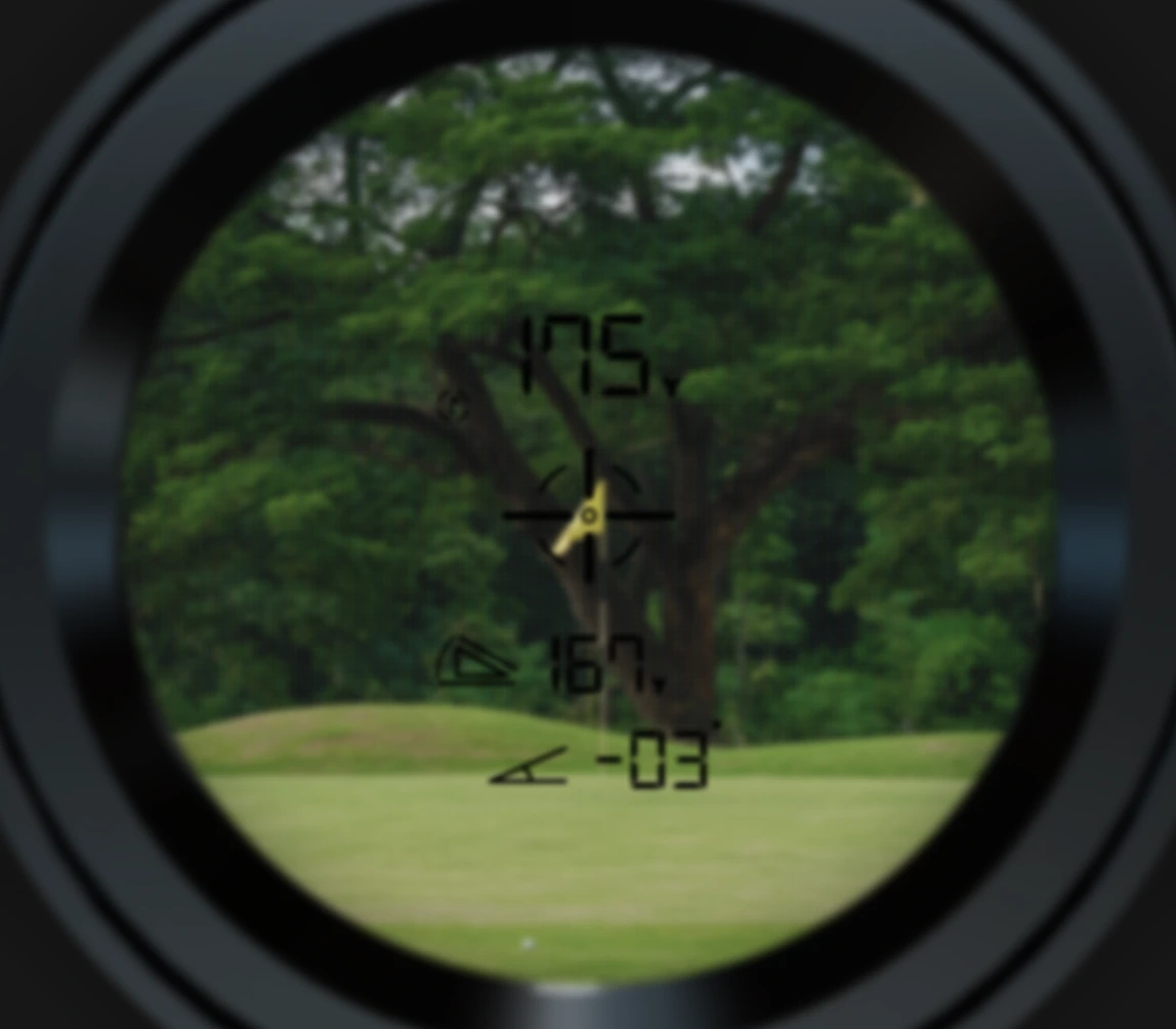 Regular rangefinder display